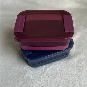 Magenta and Navy Food Storage Containers